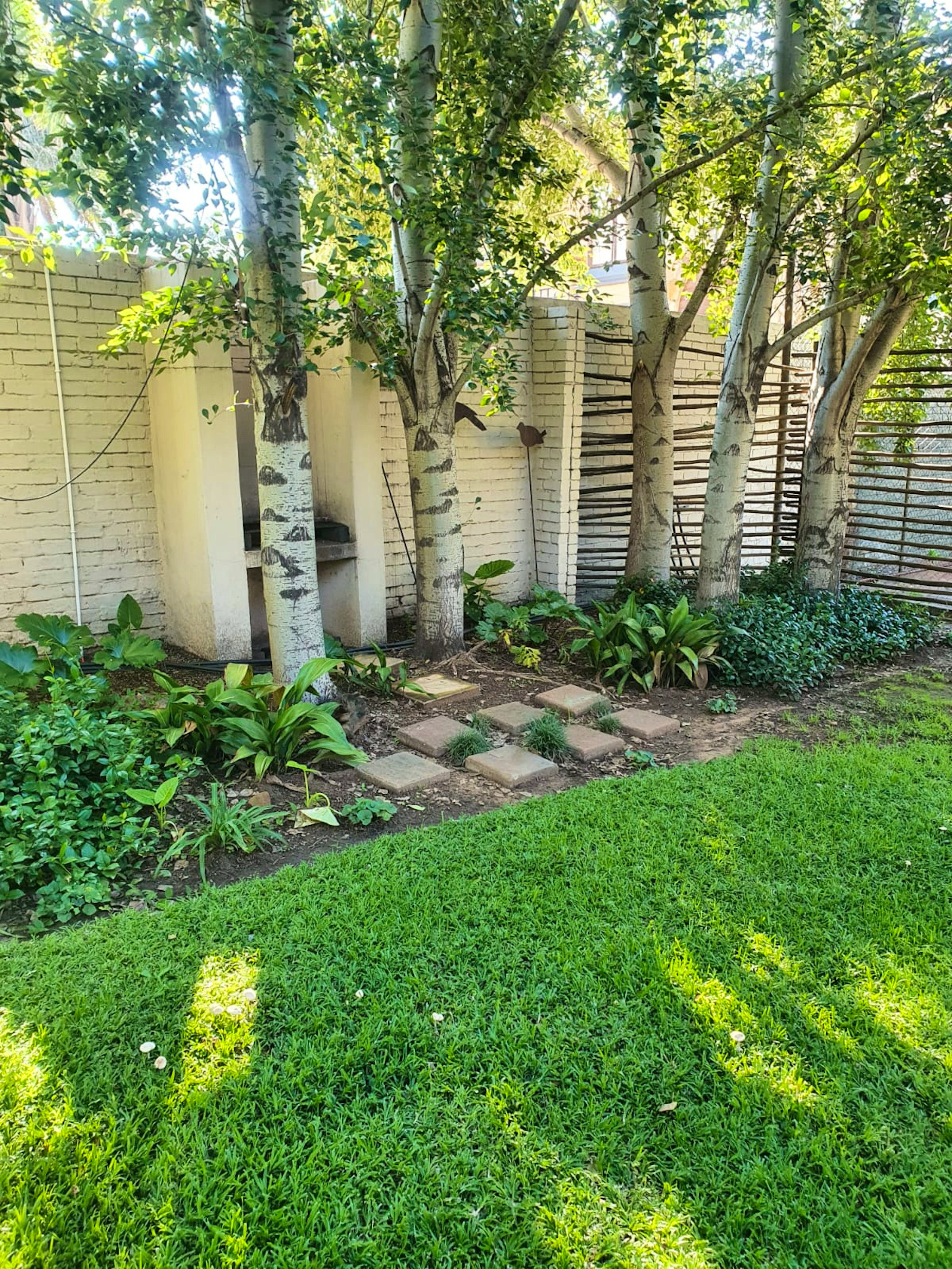 Leafy garden alcove at Amadeus Guesthouse