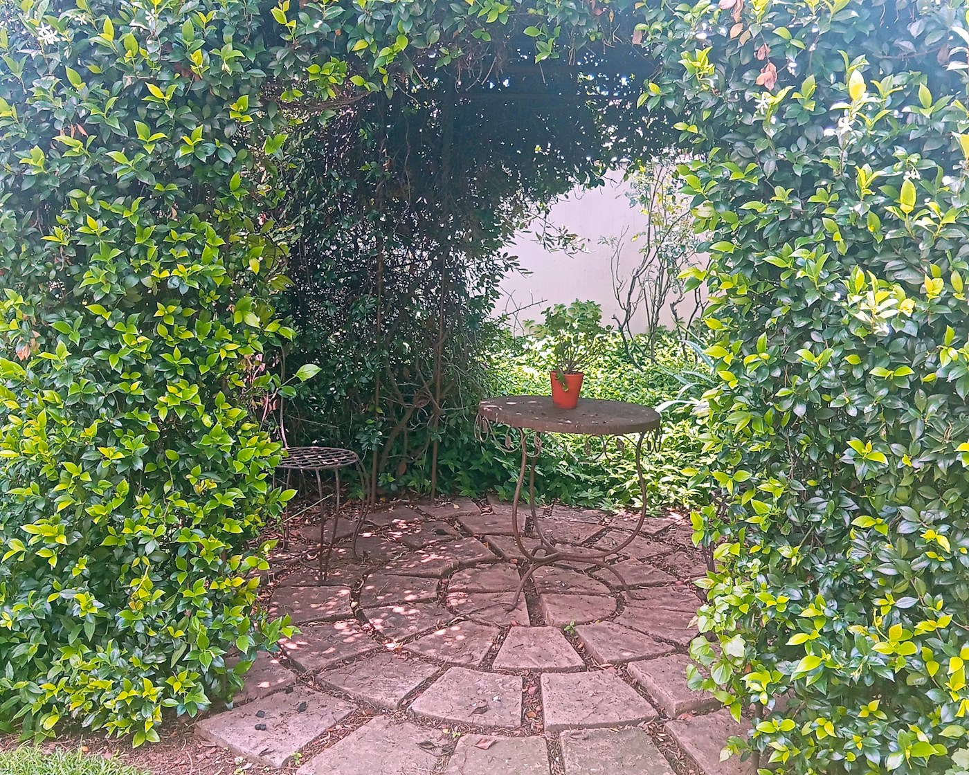 Guesthouse garden and exterior at Amadeus Guesthouse